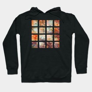 Nibulissa 10 (abstract digital painting) Hoodie